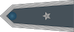 Chorąży insignia