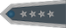 Starszy chorąży sztabowy insignia
