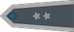 Starszy chorąży insignia