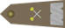 Marszałek Polski insignia