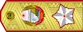 인민군원수 Inmingun-wonsu insignia