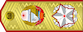 대원수 Tae wonsu insignia