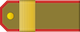 하사 Hasa insignia