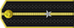 소위 Sowi insignia