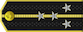대위 Taewi insignia