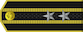 중좌 Chungjwa insignia