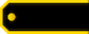 전사 Chŏnsa insignia
