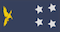 General insignia
