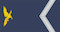 Segundo-cabo insignia