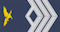 Furriel insignia