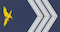 Segundo-furriel insignia