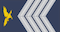 Primeiro-sargento insignia