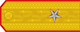 General de brigadă insignia