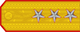 General-locotenent insignia