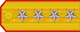 General insignia