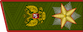 Ма́ршал Росси́йской Федера́ции / Márshal Rossíyskoy Federátsii insignia