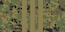 Сержа́нт / Serzhánt insignia