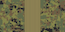 Ста́рший сержа́нт / Stárshiy serzhánt insignia