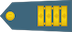 Stotnik insignia