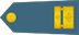 Major insignia
