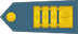 Generalpodpolkovnik insignia