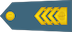 Višji štabni vodnik insignia