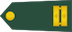 Poročnik insignia