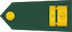 Major insignia