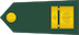 Brigadni general insignia
