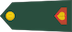 Poddesetnik insignia