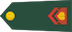 Desetnik insignia