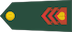 Naddesetnik insignia