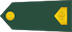 Vodnik insignia
