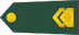 Višji vodnik insignia