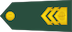 Štabni vodnik insignia