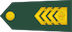 Višji štabni vodnik insignia