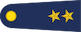 Üsteğmen insignia