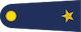 Teğmen insignia