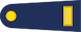 Asteğmen insignia
