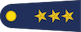 Yüzbaşı insignia