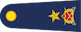 Tuğgeneral insignia