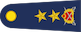 Tümgeneral insignia