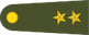 Üsteğmen insignia