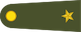 Teğmen insignia