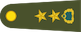 Yarbay insignia