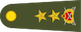 Tümgeneral insignia