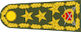 Genelkurmay başkanı insignia