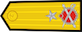 Tuğamiral insignia