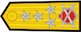 Oramiral insignia