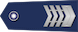 上士 Shàngshi insignia